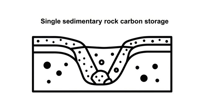 Sedimentary Rock Carbon Storage Diagram Geology.