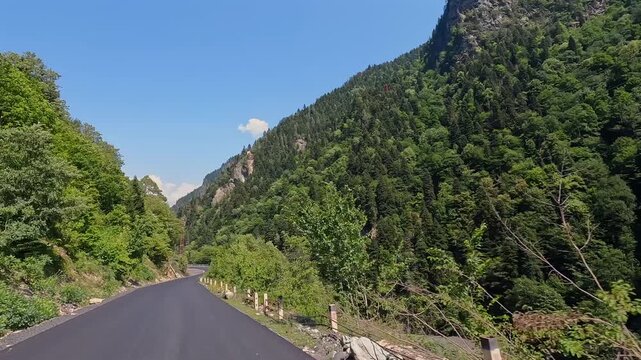 New asphalt connects highland valley, forward road view through dense forest in Svaneti, Georgia, illustrating highway resurfacing, rural infrastructure investment and improved regional mobility