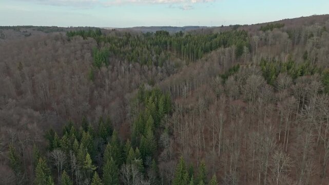 An aerial drone push in shot glides over the expansive forests and rolling hills of Baden-W&uuml;rttemberg, Germany. Evergreen and bare deciduous trees cover the serene, remote landscape.