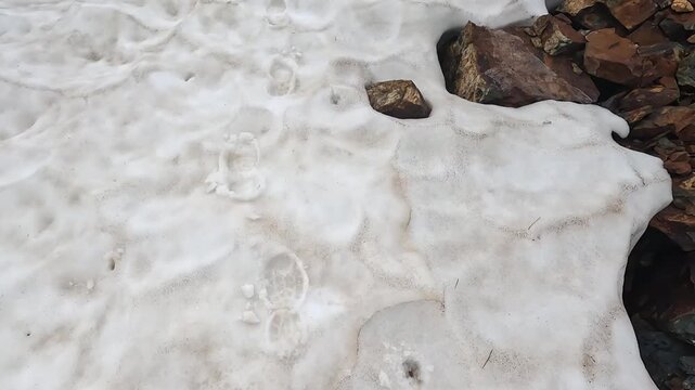 Hiker crosses snowfield, downward close-up view, following boot prints along a rocky mountain route in Svaneti, Georgia, documenting summer trail conditions, navigation and trekking safety for trip
