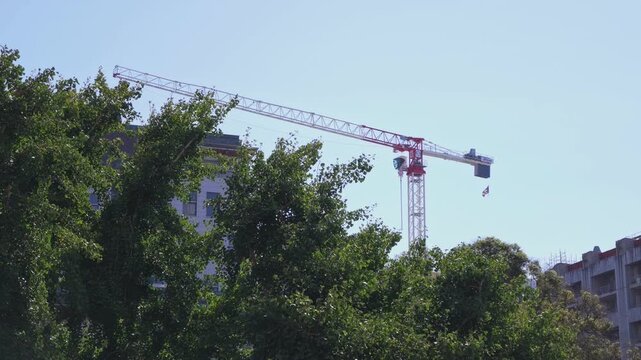 Tall construction crane moving above vibrant green trees at a building site on a clear sunny day in Berkeley, California, with an American flag waving from the hook