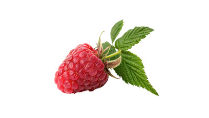 Single fresh ripe red raspberry with green leaf isolated on transparent background © RRose