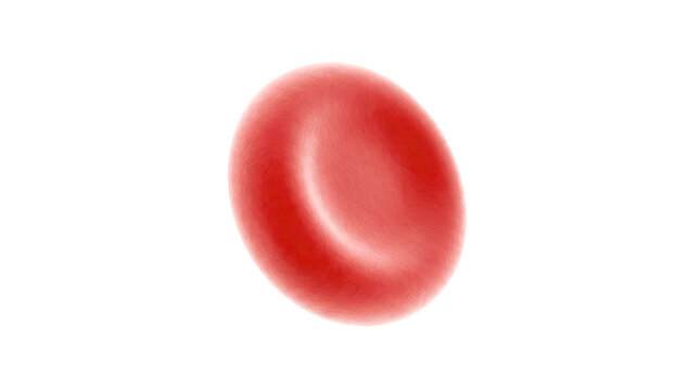 Red blood cell circulating in human body for medical science and healthcare research.