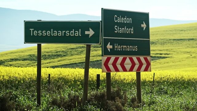 Directional road signs for Tesselaarsdal, Caledon, Stanford and Hermanus in the Western Cape region of South Africa while the canola fields blossom