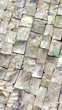 Cut pieces of nacre from abalone shell glued together for abstract art. Vertical
