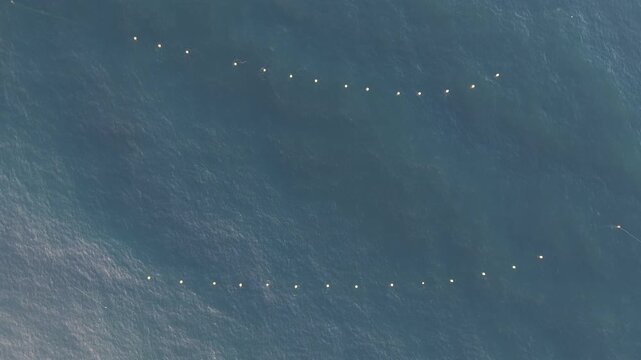 Parallel lines of buoys trace long fishing nets across textured open sea from a high drone angle.