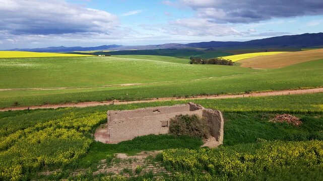 A brick ruin of an old farm building in the canola fields of South Africa