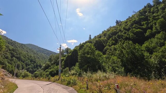 Vehicle travels winding road, forward view through a forested mountain corridor in Georgia, showing curve signs, power lines and rural transport infrastructure for regional mobility, road safety use