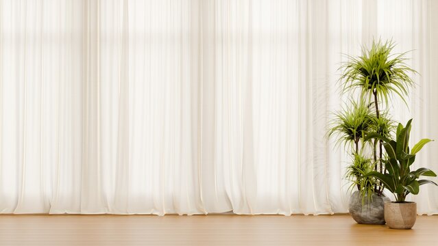 Empty room with white curtains and plants- 3D rendering