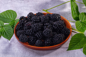 Fresh blackberries in wooden bowl with green leaves on textured gray background © Andrei Starostin
