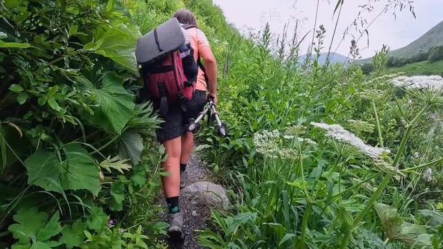 Female hiker trekking rear view on overgrown mountain path near Ushguli, useful for route scouting, guided trek planning, access assessment, and wilderness travel logistics in Svaneti, Georgia