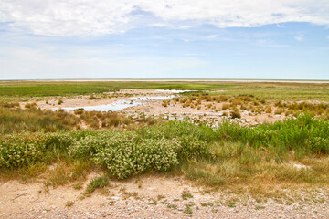 Eine weite, flache Landschaft mit trockener Vegetation, sandig-steinigem Boden und flachen Wasserflächen erstreckt sich unter einem hellen Himmel. © Jane Be. The Picture