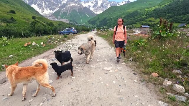 Woman walking along rural road with free-roaming dogs near Ushguli, Svaneti, Georgia, travel scene for authentic village trekking, local tourism, route planning, and outdoor travel adsushguli hiking, 