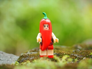 Naklejka premium Indonesia - May 23, 2025 : Mini toy of action figure at outdoor with blurred background. Miniature photography concept design. Minifigure of Red Chilli guy character at farmland. Agriculture theme.
