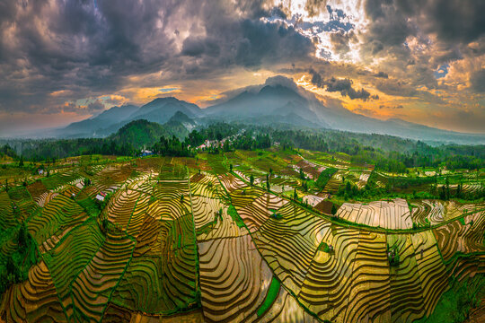 Aerial view of Sapa rice terraces at sunrise with golden light o
