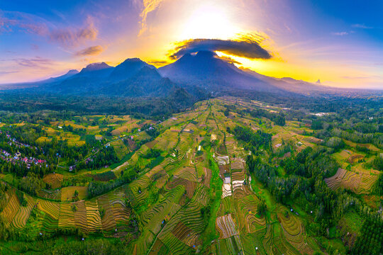 Beautiful panoramic aerial view of terraced rice fields at sunri