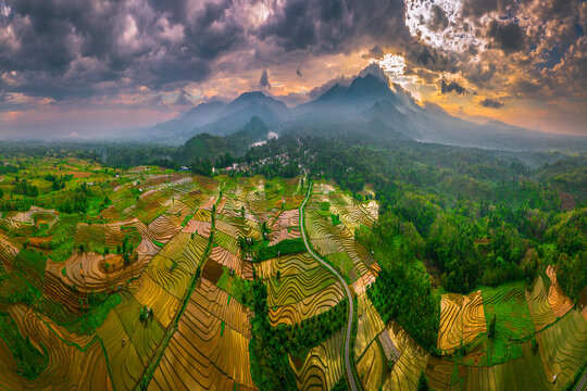 Aerial view of Sapa rice terraces at sunrise with golden light o