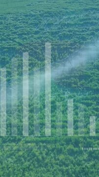 Animation of diagrams and data processing over plantation