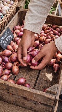 Authentic Market Selection: Young South Asian Male with Fresh Shallots