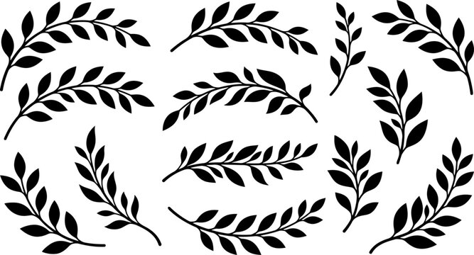 Leafy Branches and Twigs Silhouettes Set, Black vector collection of botanical foliage and curved floral elements for natural designs.