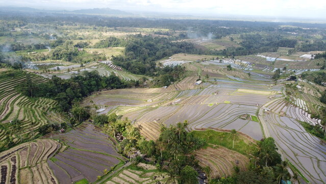 Panoramic aerial view of Jatiluwih green rice terraces UNESCO World Heritage site in Bali, Indonesia