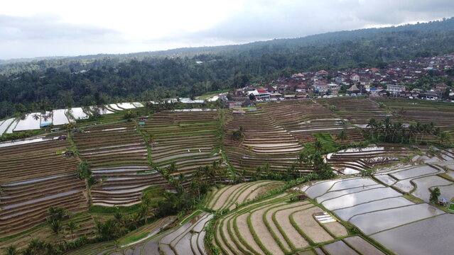 Panoramic aerial view of Jatiluwih green rice terraces UNESCO World Heritage site in Bali, Indonesia