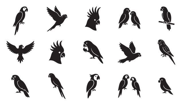 Parrot silhouette icon set, 15 tropical bird vector elements. Exotic macaw and cockatoo silhouettes for nature design projects.