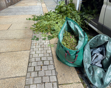 Green Waste from Hedge Trimming &ndash; Garden Maintenance and Caretaker Services
