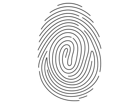Fingerprint Line Art Vector Illustration Biometric Identity Security Technology Symbol.