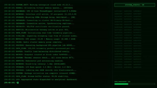 System status monitoring server network terminal screen animation.