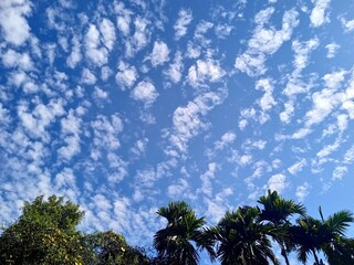 Naklejka premium Blue Sky with Delicate White Clouds and Natural Cloudscape