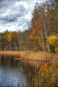 See im Herbst