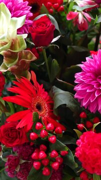 cinematic vertical close-up of a vibrant floral arrangement with beautiful red gerberas, roses, and pink dahlias