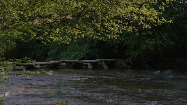 Tarr Steps with a wide composition that showcases the historic clapper bridge and its natural surroundings. The scene features subtle ripples in the water, moss-covered stones, and dense woodland.