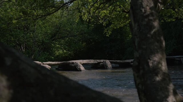 Tarr Steps highlighting the connection between nature and heritage. The slow-moving river, textured stone slabs, and lush greenery combine to create a timeless and relaxing countryside scene,