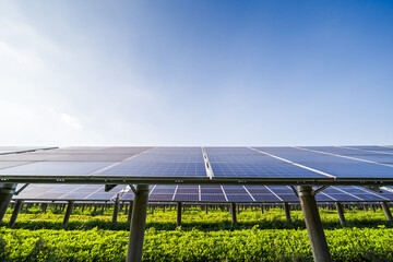 A photovoltaic solar panel array is installed above growing green crops, under a clear blue sky, showcasing agrovoltaic technology. © tai