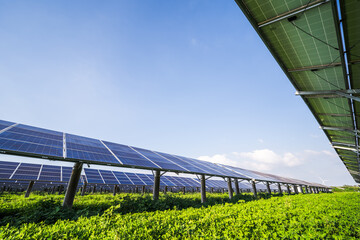 Photovoltaic solar panels are installed in an agricultural field with lush green crops under a clear blue sky, showcasing renewable energy integration with farming. © tai