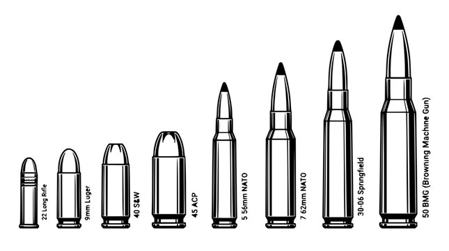 Bullet set with various sizes featuring .22 Long Rifle, 9mm Luger, .40 S&W with 5.56mm NATO, 7.62mm Springfield and .50 BMG