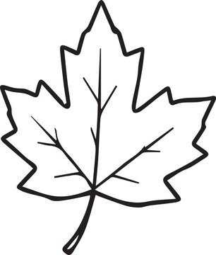 Minimalist maple leaf line art vector illustration. Black and white outline icon for autumn crafts, fall botanical designs, Thanksgiving decor, and coloring book pages.