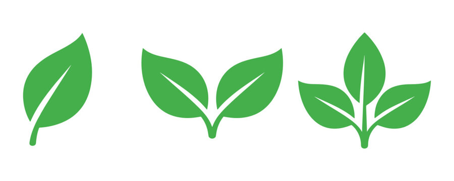 Set of green leaf icons representing nature, ecology, sustainability, and plant growth in flat vector style