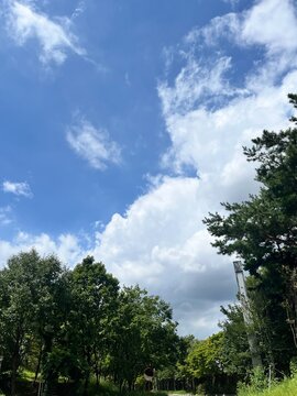 sky and clouds