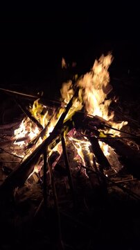 Bright bonfire burning with glowing sparks and flames on wood logs in the dark night outdoors