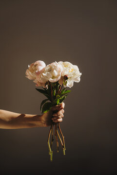 Cropped View Of Female Hand Extending Light Pink Peony Bouquet Under Sunlight Beam