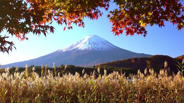 Snow-Covered Mt. Fuji Framed by Colorful Autumn Foliage, Japan