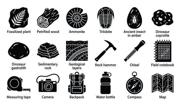 Set of paleontology and geology icons. Fossil specimens, field research tools, rock formations, exploration equipment symbols.