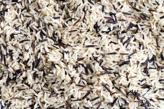 Wild rice and long grain rice, close-up