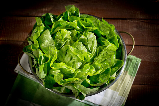 Colander with butterhead lettuce