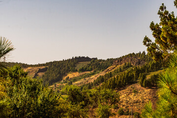Paisaje en un área recreativa de Gran Canaria. © CarlosHerreros