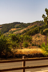 Paisaje en un área recreativa de Gran Canaria. © CarlosHerreros