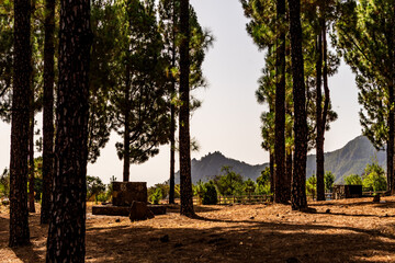 Paisaje en un área recreativa de Gran Canaria. © CarlosHerreros
